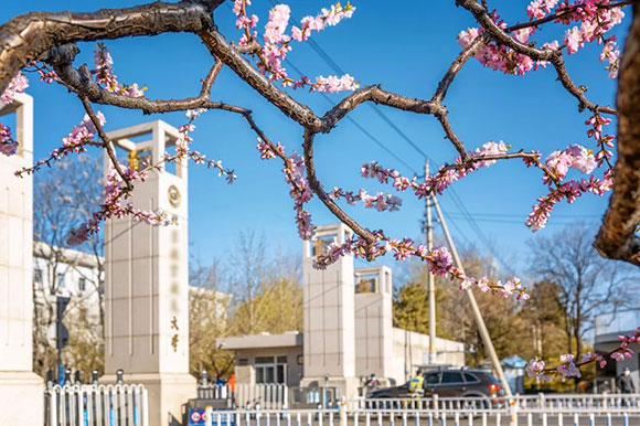 大学引入william威廉中文官网访客系统：做好预约登记管理，共建开放校园